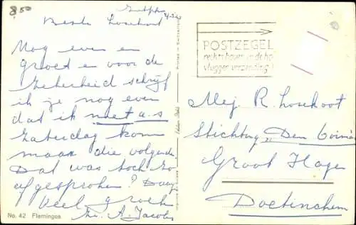 Ak Flamingos, Vögel