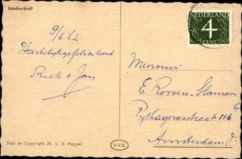 Ak Junges Reh, Jungtier