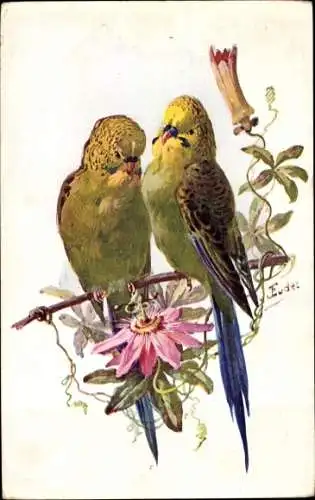 Künstler Ak Eudes, Zwei Papageien, Blume