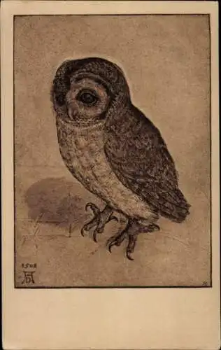 Künstler Ak Eule, Vogel, Tierportrait, Krallen