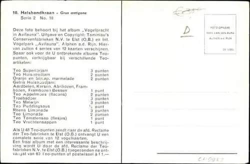 Ak Saruskraniche, Vögel