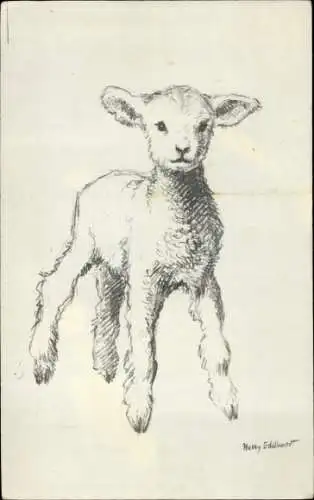 Künstler Ak Edelkoort, H., Lamm, Schaf, Tierportrait