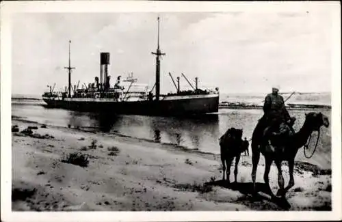 Ak Ägypten, Partie am Ufer, Suez Kanal, Passagierschiff, Dampfschiff, Kamel