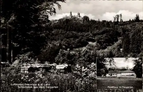 Ak Braunfels an der Lahn, Tiergarten, Forsthaus, Schloss