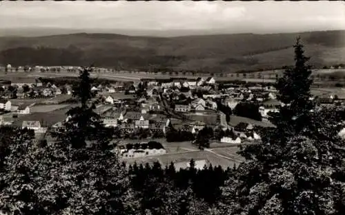 Ak Schwarzenbach am Wald Oberfranken, Totalansicht