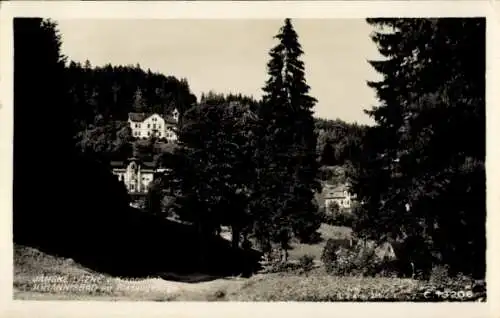 Ak Janské Lázně Johannisbad Region Königgrätz, Teilansicht