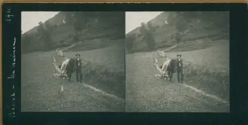 Stereo Foto Beard Nièvre, Mann mit Pferd auf einem Feldweg