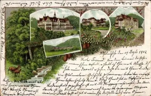 Litho Bad Wilhelmshöhe Kassel in Hessen, Gossmann's Naturheilanstalt, Pensionshaus