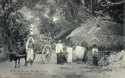 Ak Colombo Sri Lanka, Straßenszene auf dem Weg zum Kelanlya-Tempel