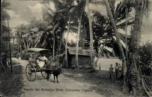 Ak Colombo Ceylon Sri Lanka, neben dem Fluss Kelaniya