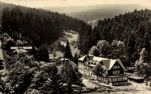 Ak Friedrichroda im Thüringer Wald, Kühles Tal