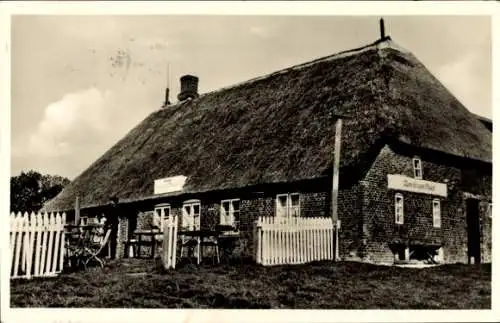 Ak Hallig Hooge in Nordfriesland, Peter Tiemanns Blauer Pesel