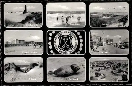 Ak Nordseebad Sankt Peter Ording, Wappen, Brücke, Strand, Seehund, Dünen, Kurmittelhaus