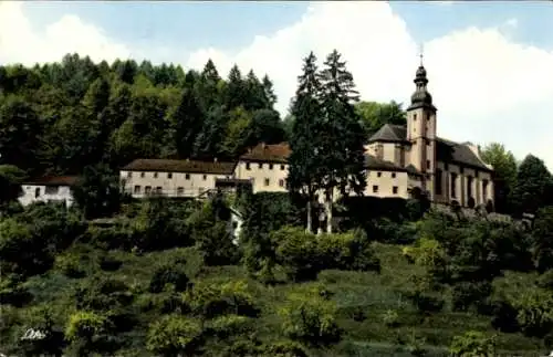 Ak Mariabuchen Lohr im Spessart Unterfranken, Teilansicht