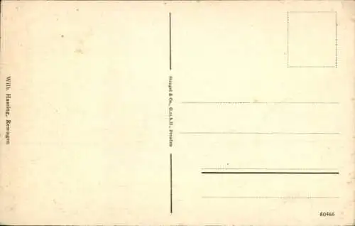 Ak Remagen am Rhein, Partie im Rheinhotel