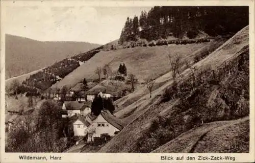 Ak Wildemann Clausthal Zellerfeld im Oberharz,  Zick-Zack-Weg