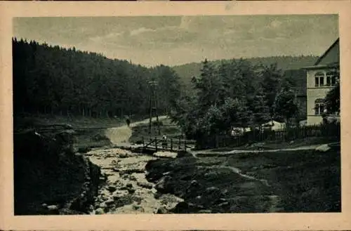 Ak Braunlage im Oberharz, Am Ulrichswasser