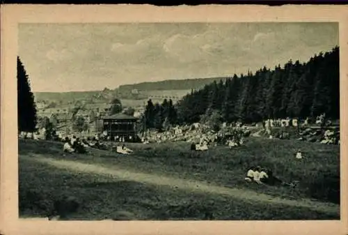 Ak Braunlage im Oberharz, Verlobungswiese