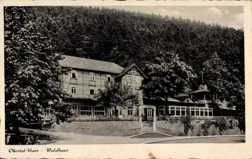 Ak Goslar am Harz, Okertal, Waldhaus, Fritz Brasching, Hotel und Pension