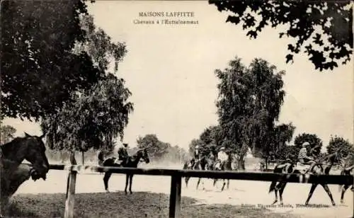 Ak Maisons-Laffitte Yvelines, Chevaux a l'Entrainement