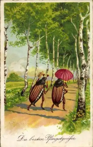 Ak Glückwunsch Pfingsten, Maikäfer gehen spazieren, Birken