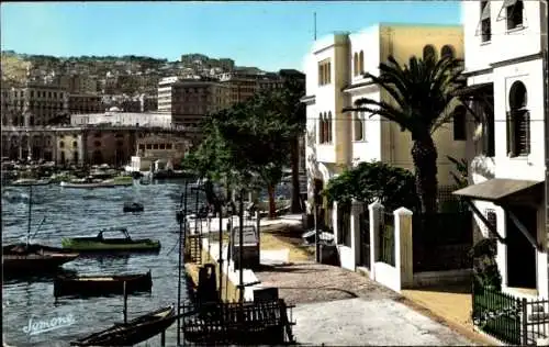 Ak Algier Alger Algerien, l'Amiraute et le Bassin