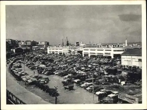 Algier Alger Algerien, Foire d'Alger, Vue générale