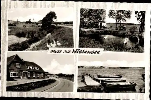 Ak Bistensee in Schleswig Holstein, Hotel Bistensee, Teilansichten, Gänse, Boote, Schwäne