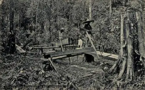 Ak Sumatra Indonesien, Männer zersägen Stämme, Forstwirtschaft