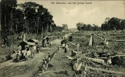 Ak Sumatra Indonesien, Gefällte Baumstämme werden abtransportiert