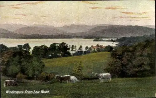 Ak Windermere Cumbria England, Panorama von Low Wood
