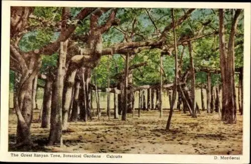 8 alte Ak Calcutta Kolkata Kalkutta Indien, diverse Ansichten