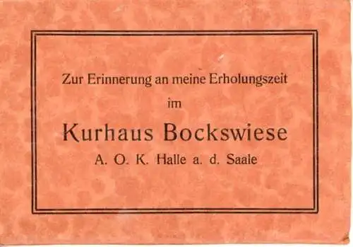 6 alte Ak Hahnenklee Bockswiese Goslar im Harz, Kurhaus Bockswiese, im Heft, diverse Ansichten