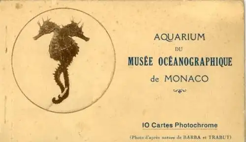 10 Ak Monaco, Aquarium im Museum der Ozeanografie, im passenden Heft, diverse Ansichten
