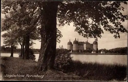 9 alte Ak Moritzburg in Sachsen, Jagdschloss, diverse Ansichten