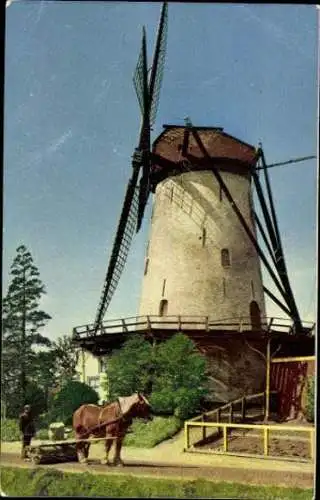 11 Ansichtskarten mit Windmühlen Niederlande