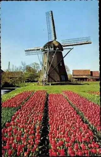 11 Ansichtskarten mit Windmühlen Niederlande