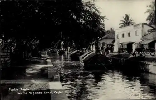 Ak Negombo Sri Lanka, Padda Boats on the Negombo Canal