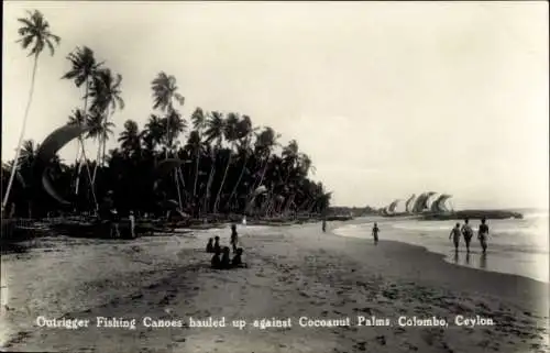 Ak Colombo Ceylon Sri Lanka, Ausleger-Fischerkanus schleppten Kokosnusspalmen hoch