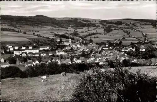 Ak Hilders in der Rhön, Panorama, Kühe