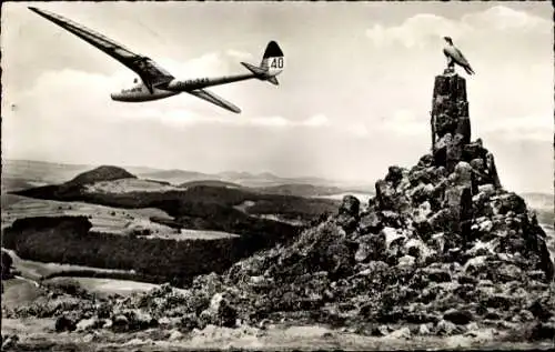 Ak Wasserkuppe Rhön, Segelflugzeug Nürnberg am Fliegerdenkmal, D-13-245