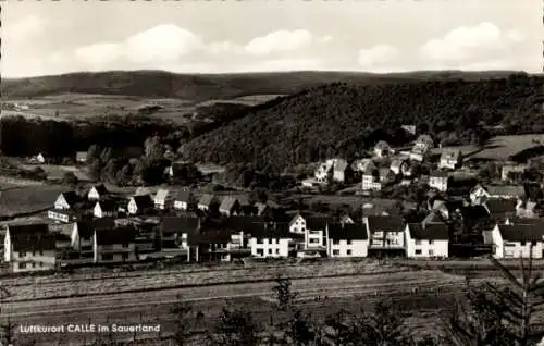 Ak Calle Meschede im Sauerland, Panorama