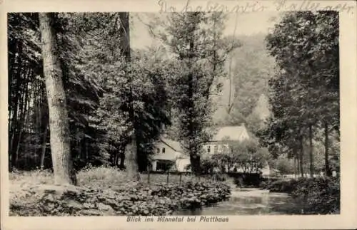 Ak Menden im Sauerland, Hönnetal, Platthaus