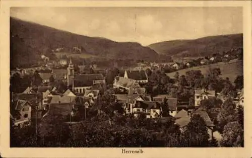 Ak Bad Herrenalb im Schwarzwald, Panorama