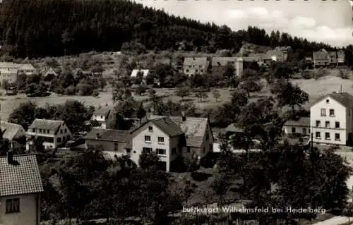 Ak Wilhelmsfeld bei Heidelberg, Gesamtansicht