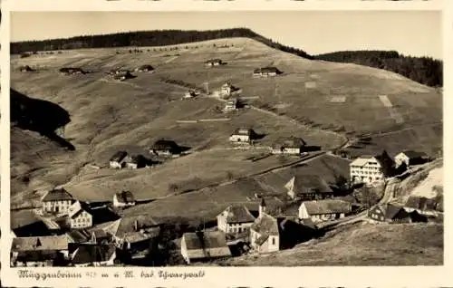 Ak Muggenbrunn Todtnau im Südschwarzwald, Panorama