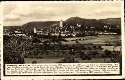 Ak Herrenberg in Württemberg, Panorama