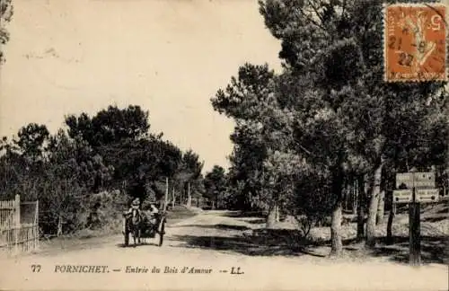 Ak Pornichet Loire Atlantique, Entree du Bois d'Amour