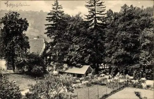 Ak Eppstein im Taunus, Hotel Oehlmühle