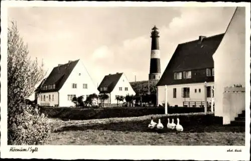 Ak Hörnum auf Sylt, Teilansicht, Leuchtturm, Gänse